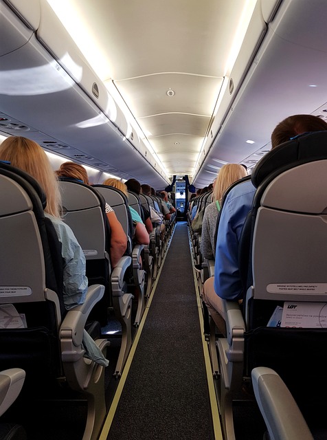 Client's Emotional Support Pet Needed 12 Airline Seats! See my FULL BLOG for all of the information: activerain.com/droplet/J2l4 #Airlines #AirlineRules #AirlinesPets #TherapyPet #EmotionalSupport #EmotionalSupportPet #BigTherapyPet #Landlord #LandlordTherapyPet #RentTherapyPet
