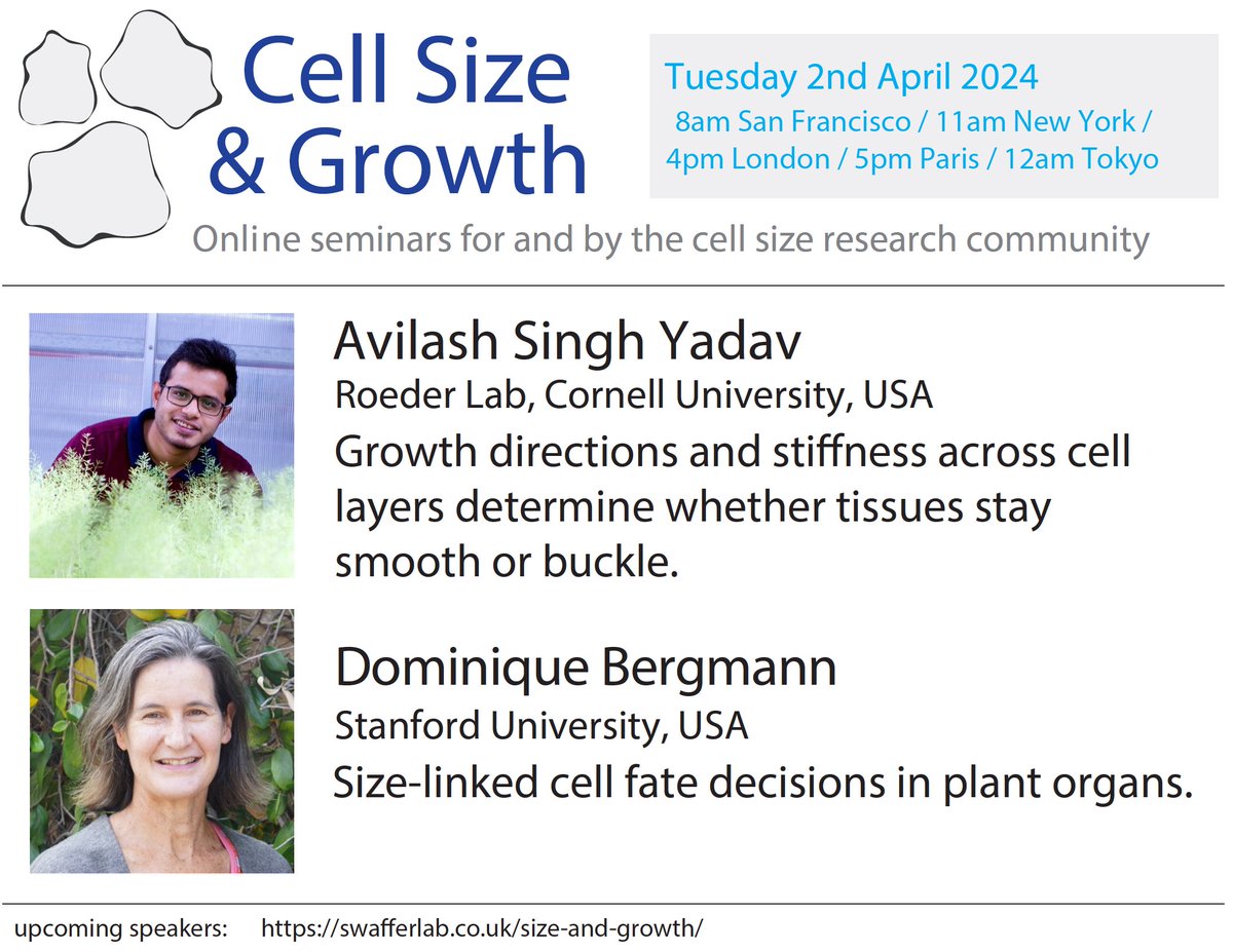 Jan Skotheim (@janskotheim) on Twitter photo Please join us tomorrow as the cell size and growth seminar series continues w/Dominique Bergmann and Avilash Yadav talking about some amazing plants. <a href="/mpswaffer/">Matthew Swaffer</a> Please join us tomorrow as the cell size and growth seminar series continues w/Dominique Bergmann and Avilash Yadav talking about some amazing plants. <a href="/mpswaffer/">Matthew Swaffer</a>