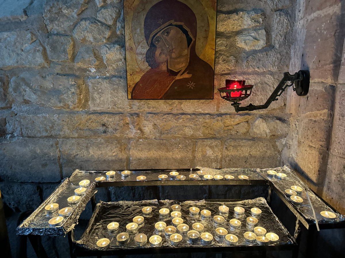 Truffles the Sheep tweet media