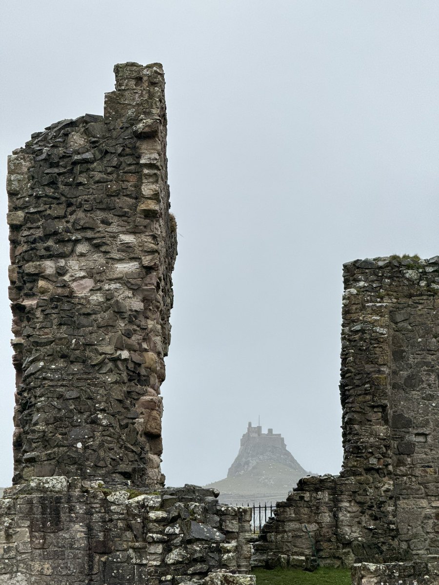 Truffles the Sheep tweet media