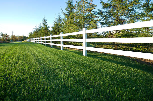LlcIrrigation's tweet photo. "A beautiful lawn doesn't happen by itself. It takes hard work and dedication." 
-- Richard Karn https://t.co/UkKphvAUhQ