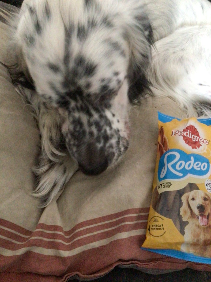 severinemdp's tweet photo. Super test mon Lemon a adoré ... #petlove #Katzenfutter #jameswellbeloved https://t.co/WQH4GU9BRp