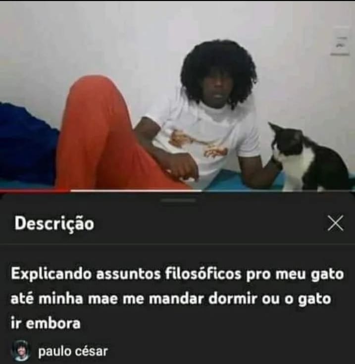 provando que brasileiro é entretenimento puro, a thread