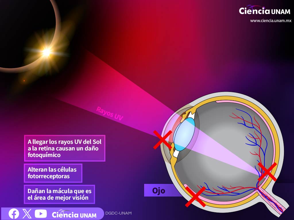 Un #eclipse solar es un espectáculo astronómico muy atractivo, pero no lo veas directamente,  podría traernos graves complicaciones debido a la sensibilidad de nuestro sistema visual.
Checa las recomendaciones: bit.ly/4aiNnbf
#EclipseMéxico2024 bit.ly/3vb3ZCt