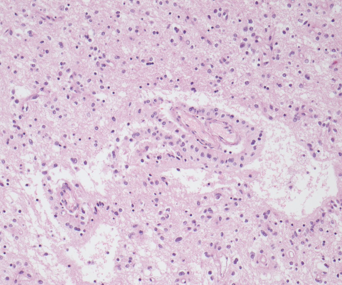 Julia P Low tweet media