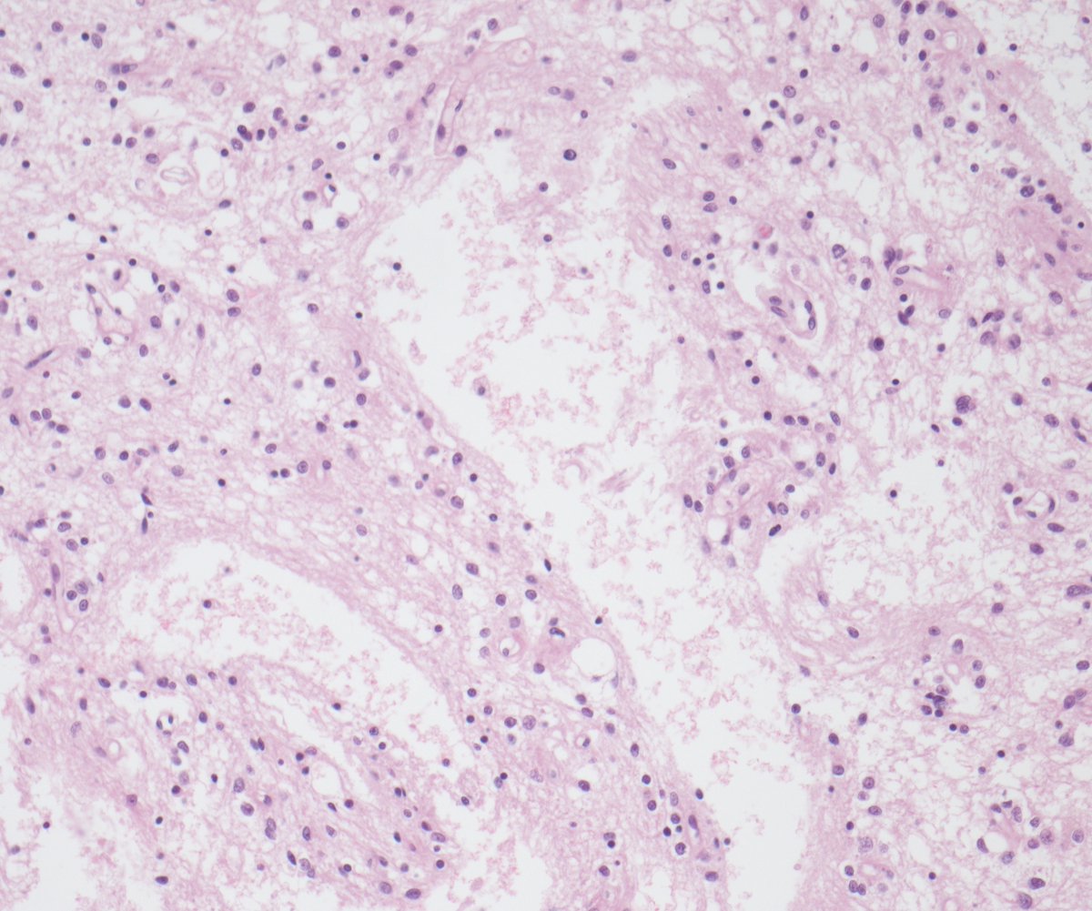 Julia P Low tweet media