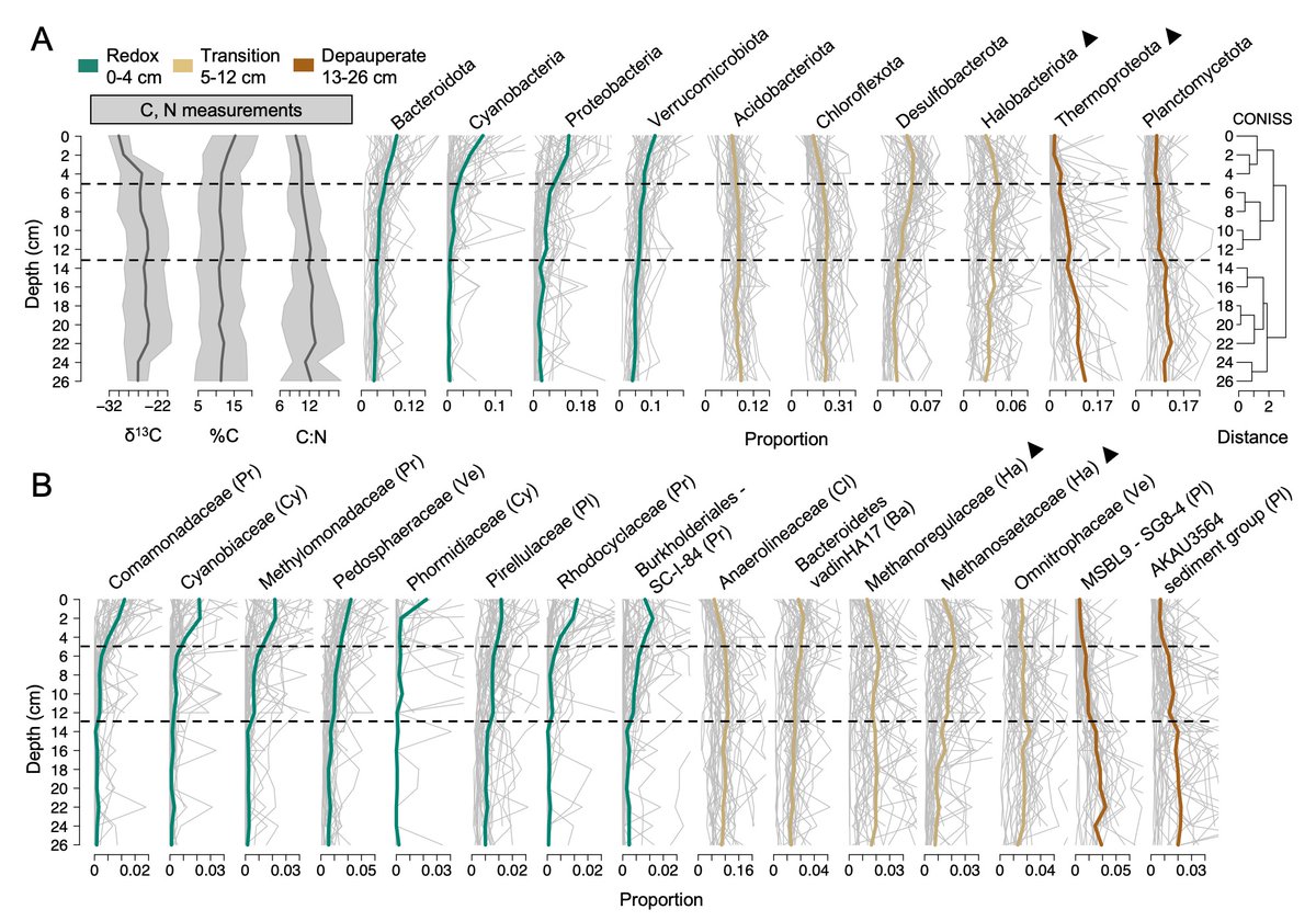 Check out our new paper on lake sediment microbial communities from 36 lakes across Wyoming to see how these microbes consistently arrange into three distinct depth zones, despite the wide range of lake environments and hundreds of kilometers between them! doi.org/10.1111/1462-2…