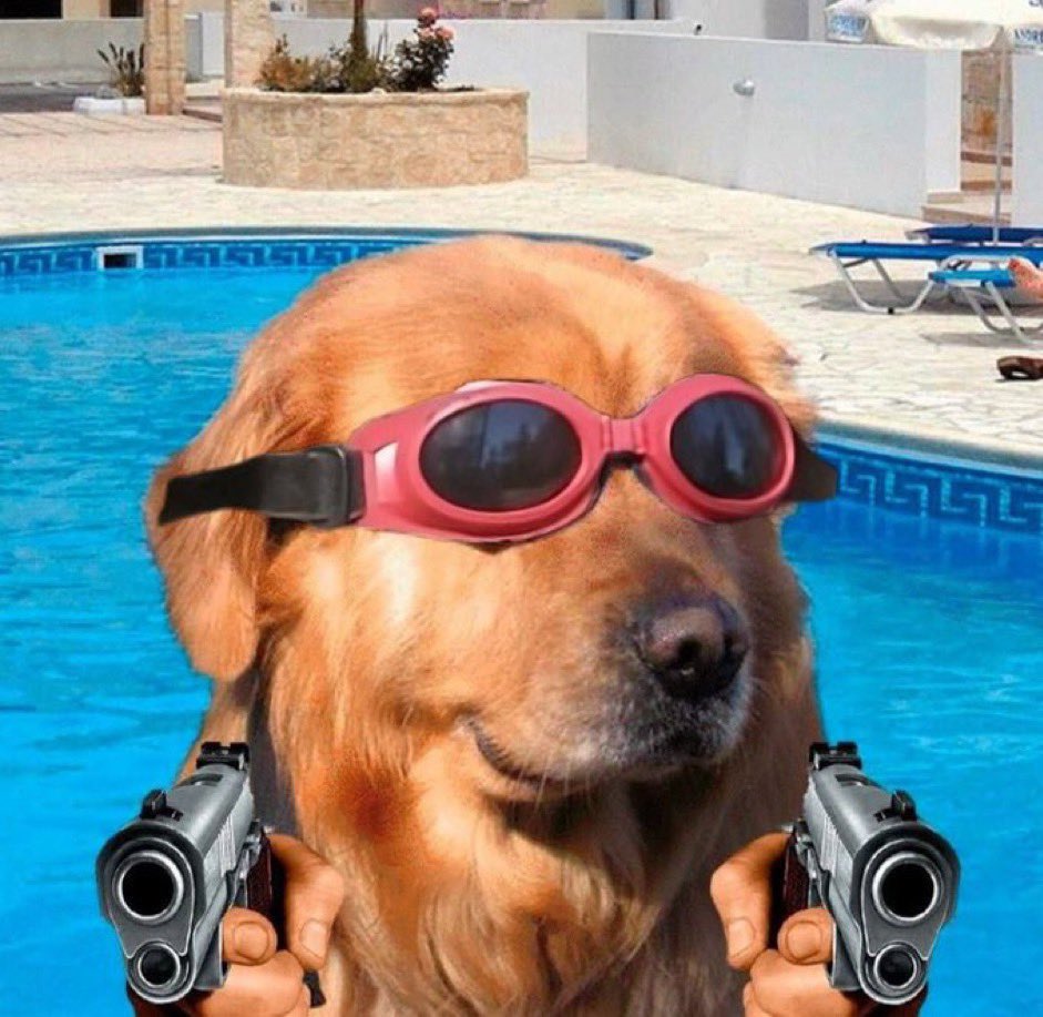 Did you really think I left thpool? 💦

I was just out there cooking. I’m never fucking leaving thpool.