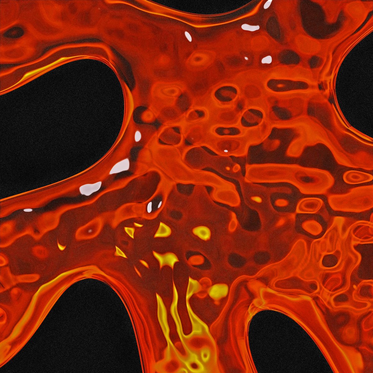 Tyler Mann tweet media