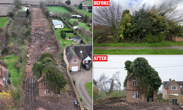 A 'fairytale house', buried beneath wilderness for 40 years, has suddenly emerged on a suburban road😲

The property with a 250-yard back garden was invisible on the road in Gedling, Nottinghamshire but was home to a world famous beekeeper, David Kemp who died & it’s for sale.🐝