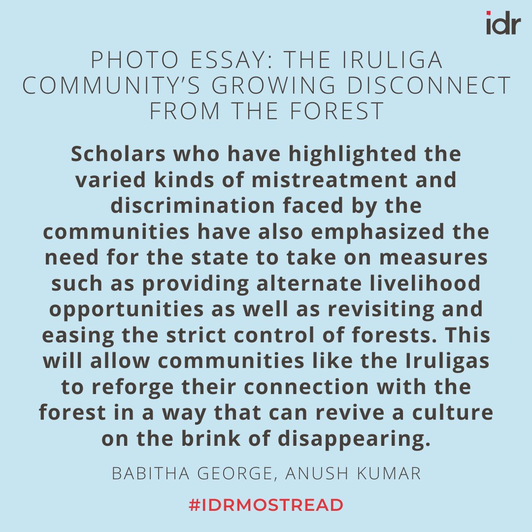 India Development Review (@idr_online) on Twitter photo #IDRMostRead #SocialJustice | Iruliga elders, who were once regarded as stewards of the forest in the Bannerghatta National Park, are now grappling with their children seeking to shed this identity. Anush Kumar & <a href="/UnwindingBlues/">Babitha George</a> explain here.
idronline.org/article/social… #IDRMostRead #SocialJustice | Iruliga elders, who were once regarded as stewards of the forest in the Bannerghatta National Park, are now grappling with their children seeking to shed this identity. Anush Kumar & <a href="/UnwindingBlues/">Babitha George</a> explain here.
idronline.org/article/social…