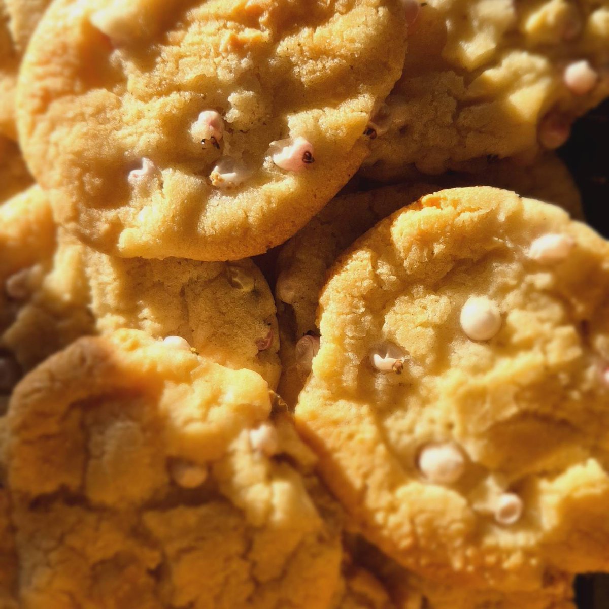 Jody Aldridge tweet media