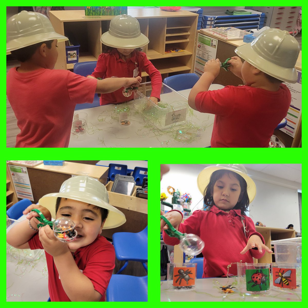 Check out these Pk-3 entomologists: they are sorting different types of insects in our Science Center. #RISDbelieves #RISDprek #dobiepkschool #Science