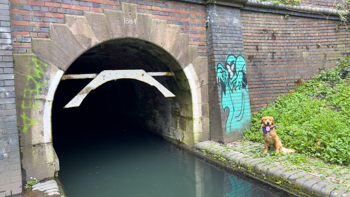 This weeks #TongueOutTuesday entry is from the #Parkhead entrance to #DudleyTunnel on the #DudleyNo1Canal part of the #BCN and #DudleyCanals. #BoatsThatTweet #LifesBetterByWater #KeepCanalsAlive #SaveOurCanals #CanalTunnels #BirminghamCanals #GoldenRetrievers #BoatDogs #BoatLife