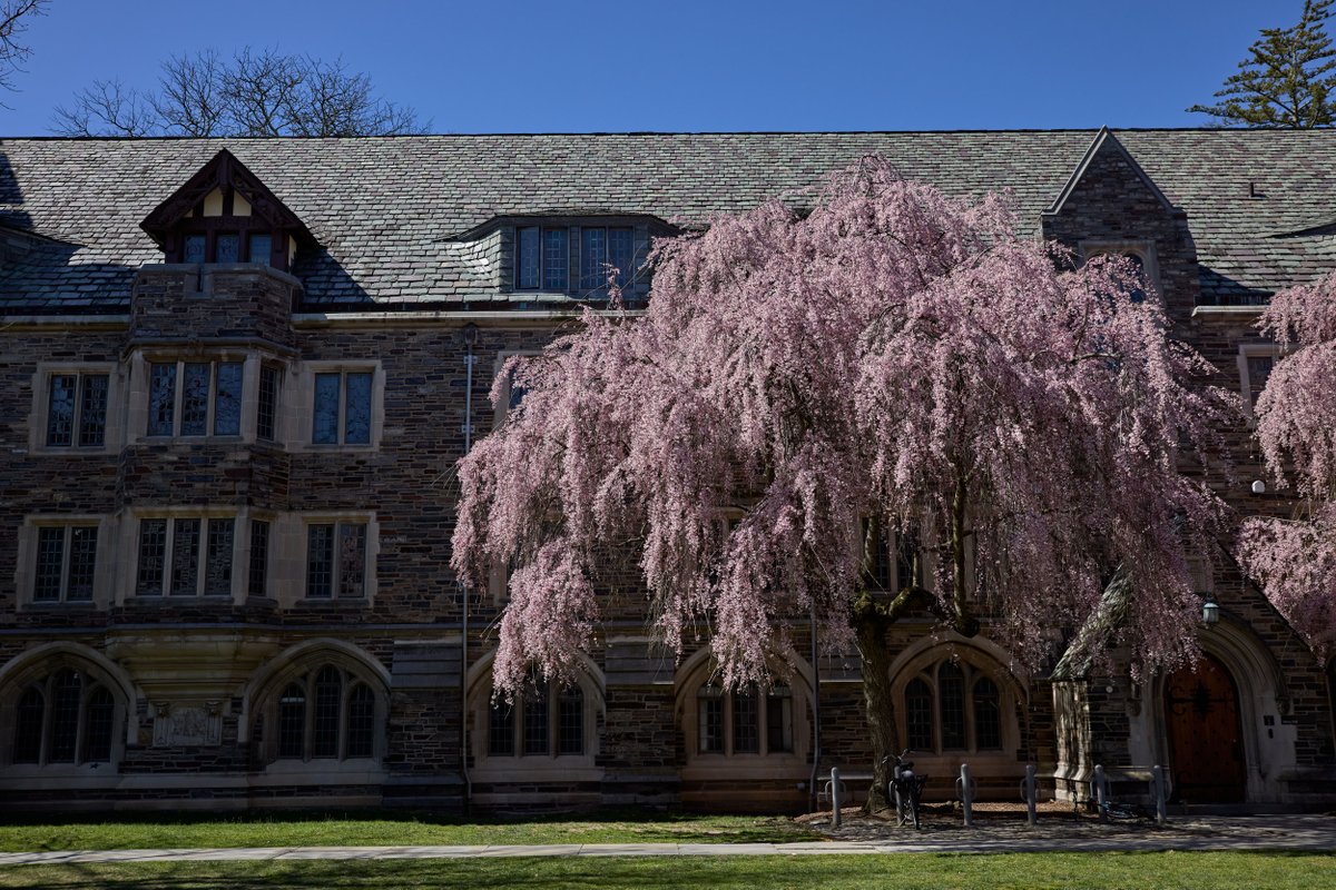 Dreaming of blue skies and bright spring days after the April showers at #PrincetonU. ☔ 🌸 📸 by Steve Freeman