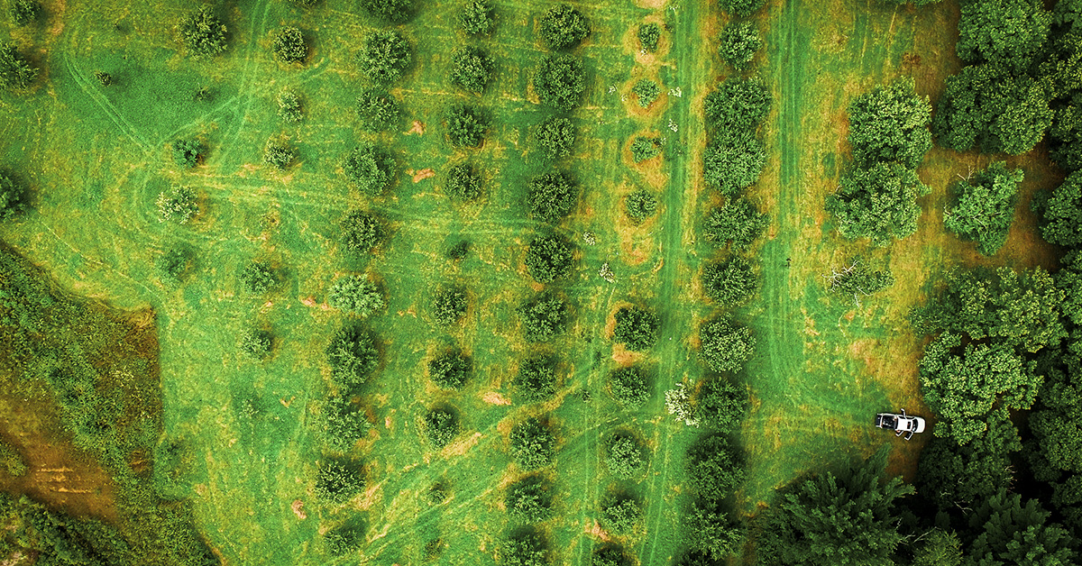 Join my team as <a href="/Savannainst/">Savanna Institute</a> Director of Research! Looking for a PhD scientist to lead a team of agroecologists &amp; breeders expanding #agroforestry options.  I'm perennially hopeful real change is possible in ag - if we go out &amp; make it happen. Apply here: savannainstitute.pinpointhq.com/jobs/186079