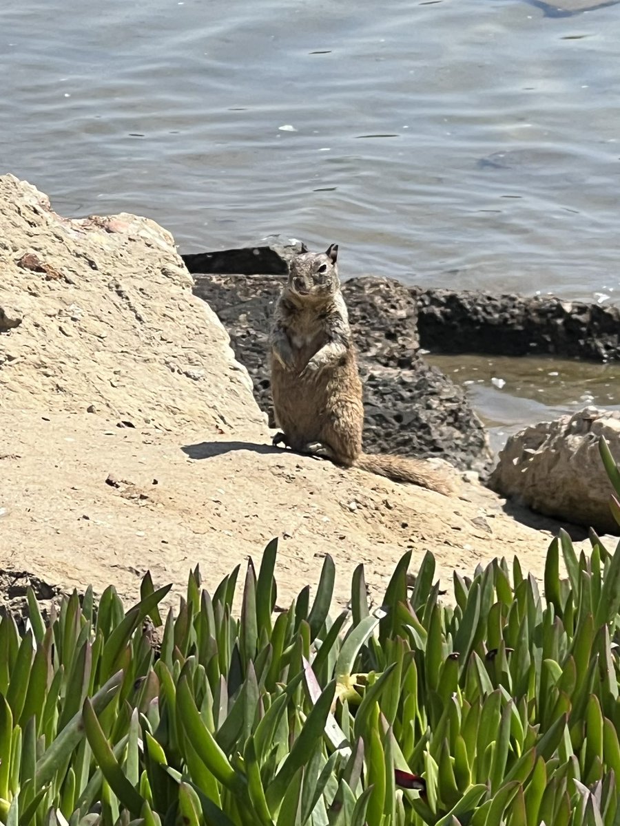 delatorretcs's tweet image. I had a transformative day 
with @MrStrong3rd @brianvdelgado &amp;amp; @bluedotandrew “The more you go outward the more you see inward” and “You can’t cage the wind” I could go on. Writing poetry inspired by #nature and absorbing their every word. Thank you doesn’t seem like enough.