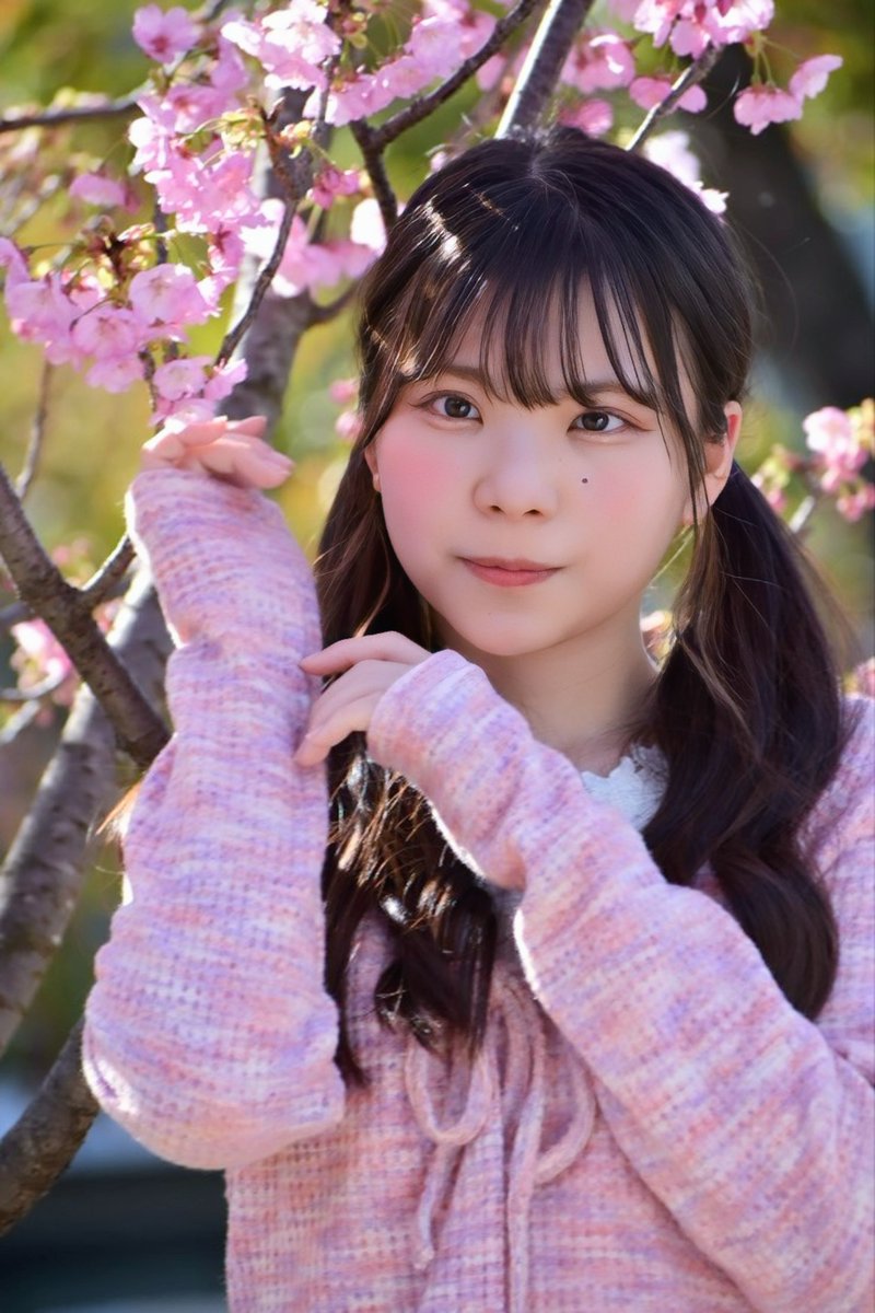 kzf0319's tweet photo. 早坂ちはるさん(@Ciharuunn)

『Cherry blossoms and beautiful girl』

画角合わせてても目線きた瞬間寄ってしまう癖を治したいです…(,,> <,,)
#早坂ちはる #美少女 #顔フェチ 
#ダイサツ #D3400 https://t.co/g3tK6dU3Uc