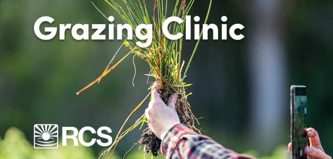 The RCS Grazing Clinic is on in Cobar NSW from 9-11 April. An introduction to regenerative agriculture through a practical hands-on workshop for implementing regenerative grazing management practices into your operation. Booking and details here: loom.ly/Ogr-MXo
