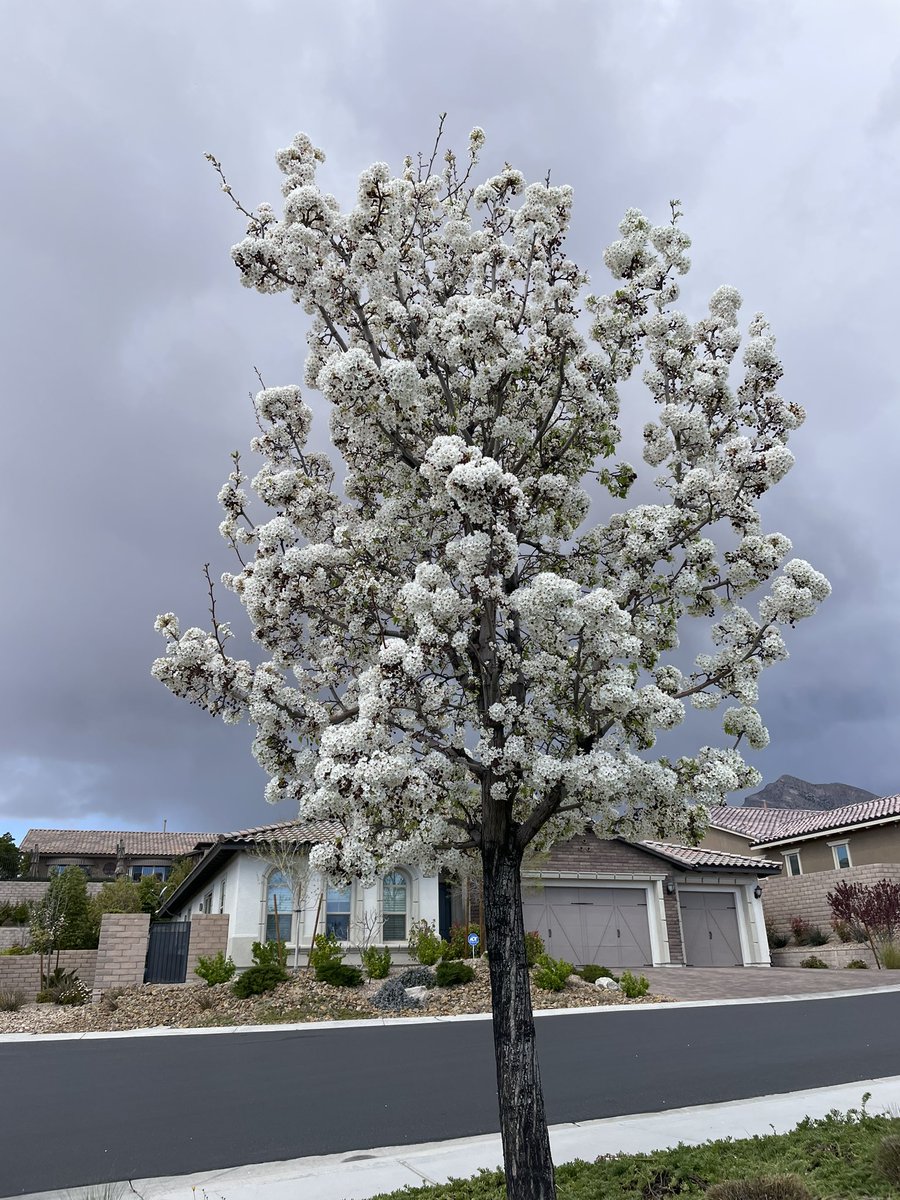 Kevin Janison tweet media