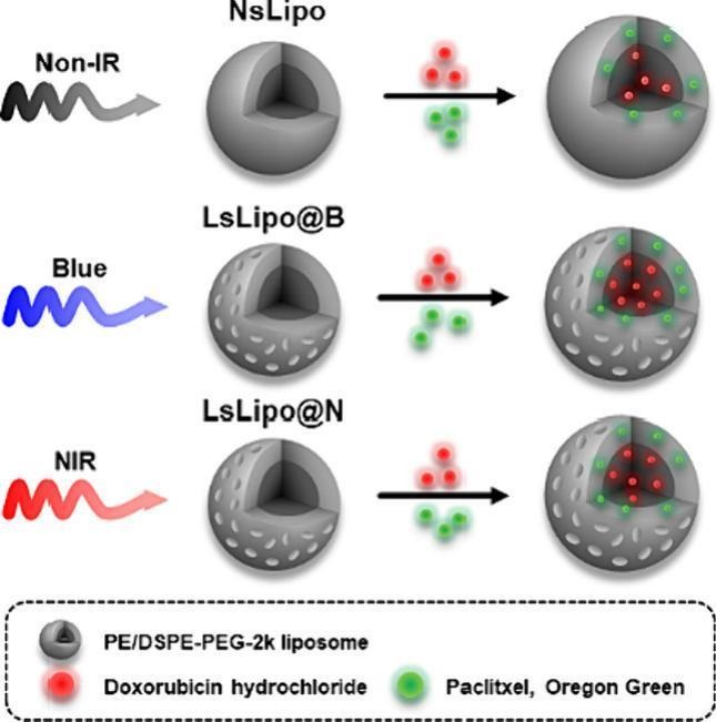 JCRnEDITORS's tweet photo. Light emitting diode (LED) irradiation of liposomes enhances drug encapsulation and delivery for improved cancer eradication.
| Keun-Hong Park, CHA Univ. | @KoreaCRS
[50 days' free access]
#liposome #LightEmittingDiode #encapsulation
https://t.co/ghCSSSaghN https://t.co/iVr5A03kuW