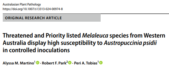 _Alyssa_Martino's tweet photo. 🌳Our work investigating susceptibility of 13 Western Australian #Melaleuca species to #myrtlerust is now available!

🍂 Susceptibility ranged from 2 - 94% between species 

🍃 Broad leaved paperbark species displayed the greatest variability in response to the pathogen https://t.co/9PqAJtYfzT