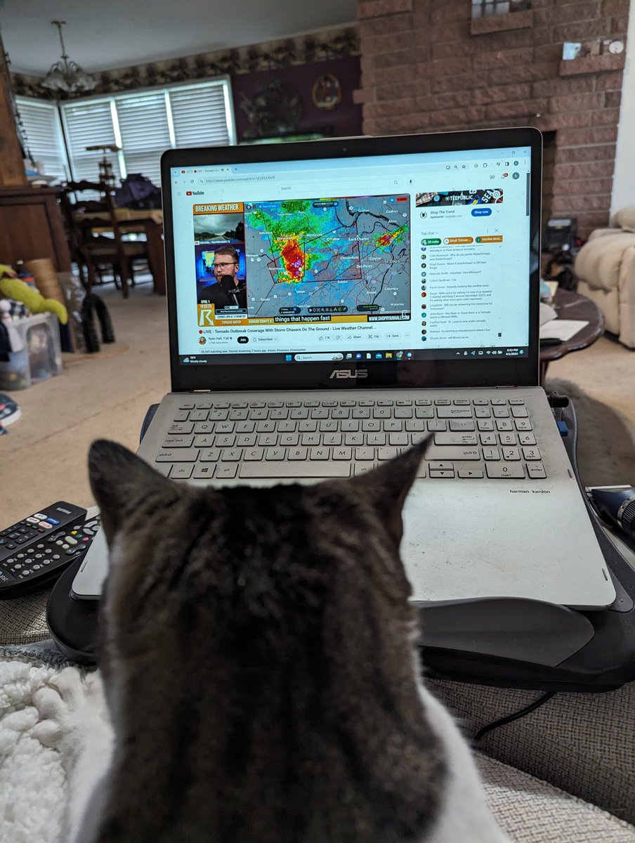 kikiher33's tweet photo. @ryanhallyall JJ has settled in for a night of storm watching https://t.co/4vgQaIUFPF
