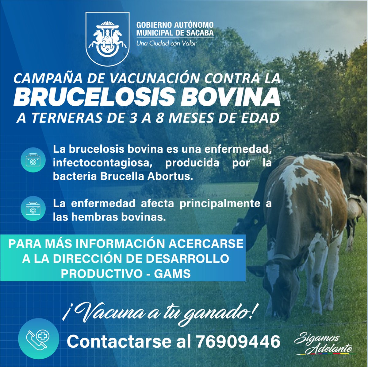 📷 ¡𝐀𝐭𝐞𝐧𝐜𝐢𝐨́𝐧 𝐆𝐚𝐧𝐚𝐝𝐞𝐫𝐨𝐬📷 📷
Participa en nuestra Campaña de Vacunación contra la Brucelosis Bovina para terneras de 3 a 8 meses. Contáctanos al 76909446 o visita la Dirección de Desarrollo Productivo – GAMS para más información.
#Sacaba
#SigamosAdelante