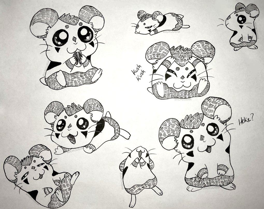 HokoushaComics's tweet image. Hi everyone! It's been a few weeks! After recovering from my sickness my head is clear. I've decided to become a Hamster Vtuber... a hamtuber if you will! I know it will be hard to get used to but please respect my decision! My new refs are below! :)