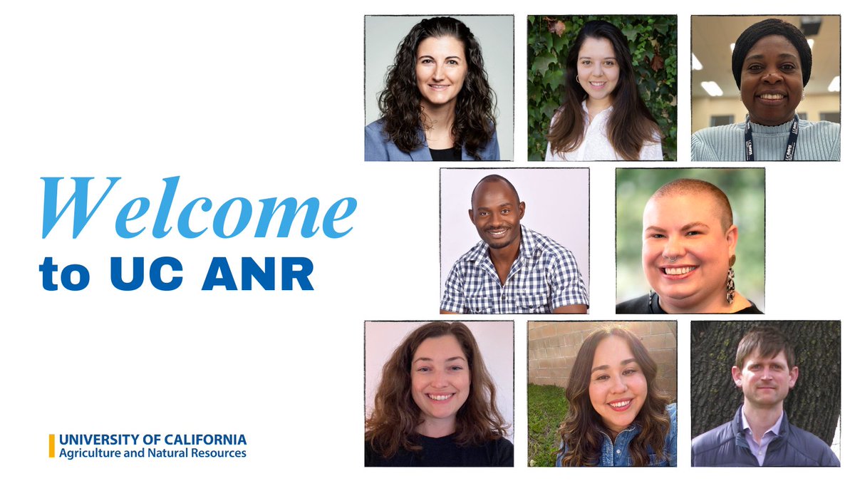 Introducing the latest additions to #UCANR! They come with a wealth of knowledge in forestry, #nutrition, crops, pest management, water management, plant pathology, and equity. Let's extend a warm welcome to them! bit.ly/3U0dtKq