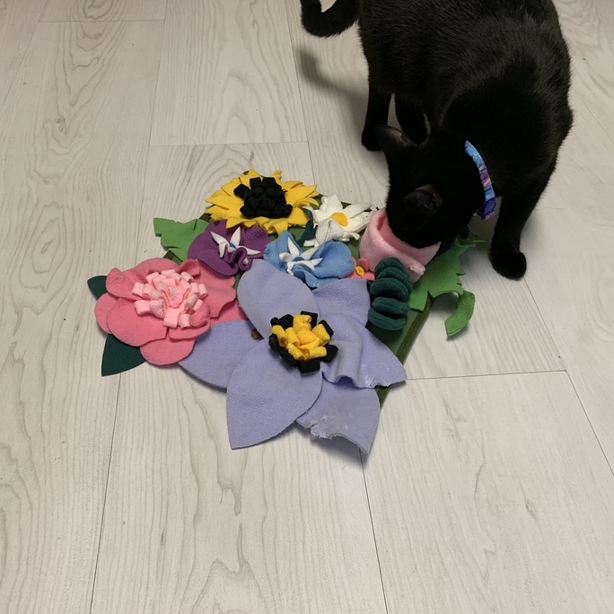 It's Neko's first birthday and we started the day playing with her snuffle mat! Can you see the 5 hidden treats (one is under the purple flower)? Neko found them all! What have you (or your cat) been playing?

#HappyBirthday #PlayingWithCats #WhatDidYouPlayMondays