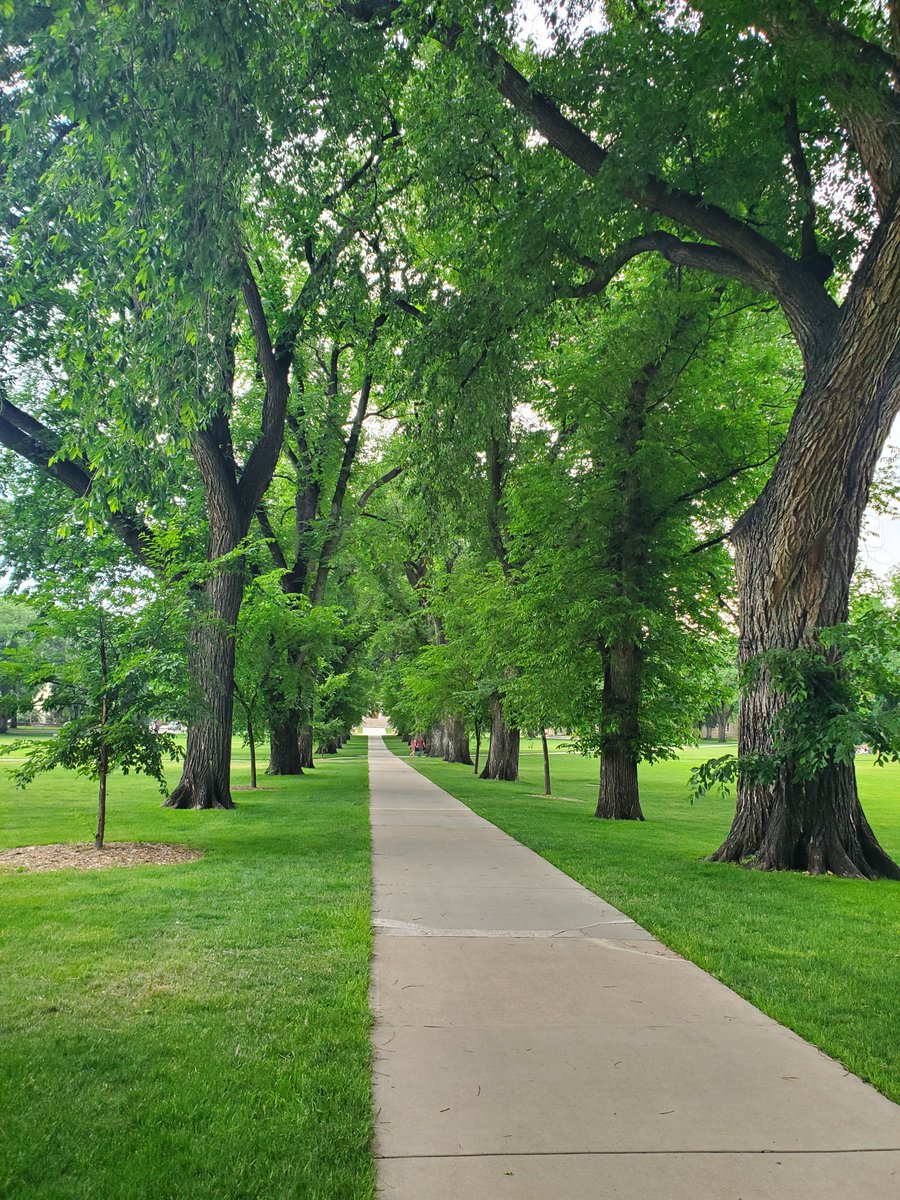 DailyPicTheme2's tweet image. Tuesday 2 April
Today’s Daily Picture Theme is ‘Contributor's Choice: Paths'
RT or reply with your own photo
Tomorrow’s theme will be ‘Logs'
#DailyPictureTheme
Tree lined paths are my favourite!
