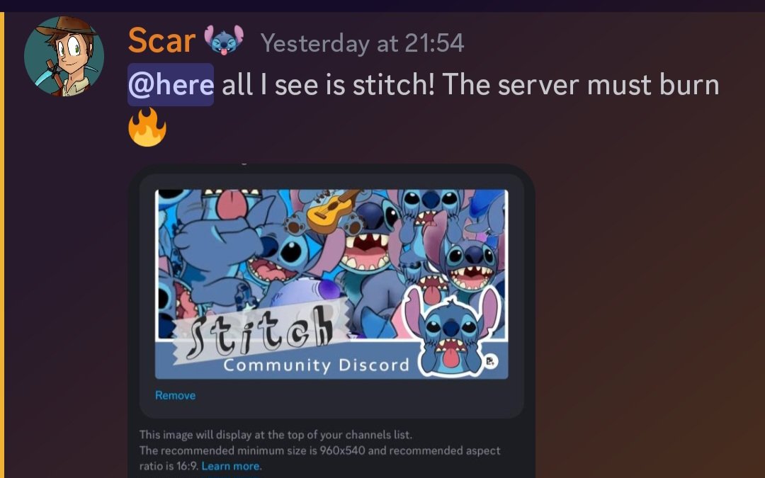 Laura - Reg tweet media