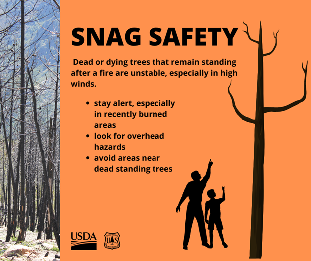 #KnowBeforeYouGo – Now that the weather is warming up and folks are itching to get outdoors, please be aware of hazards associated with recently burned areas. Snags, loose rocks and logs can be present in a burned area and are unpredictable, creating a falling a hazard.