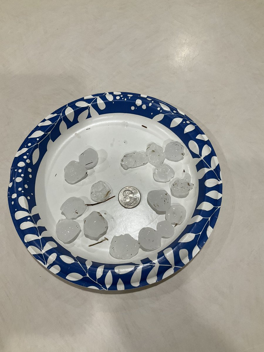 Code4Volts's tweet image. Ground covered with pea &amp;amp; marble size hail. Numerous larger ones too…..a quarter for comparison.  @LaceySwope @CassieHeiter