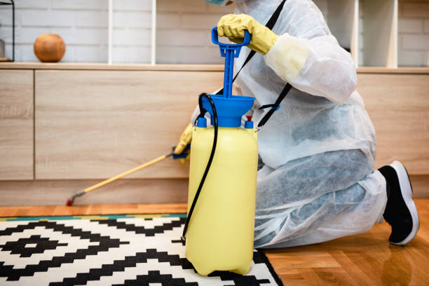 Using a combination of advanced technology and proven methods, our skilled technicians conduct thorough inspections to identify termite activity and vulnerable areas. From liquid barrier treatments to baiting systems, we tailor our approach to suit your property's needs.