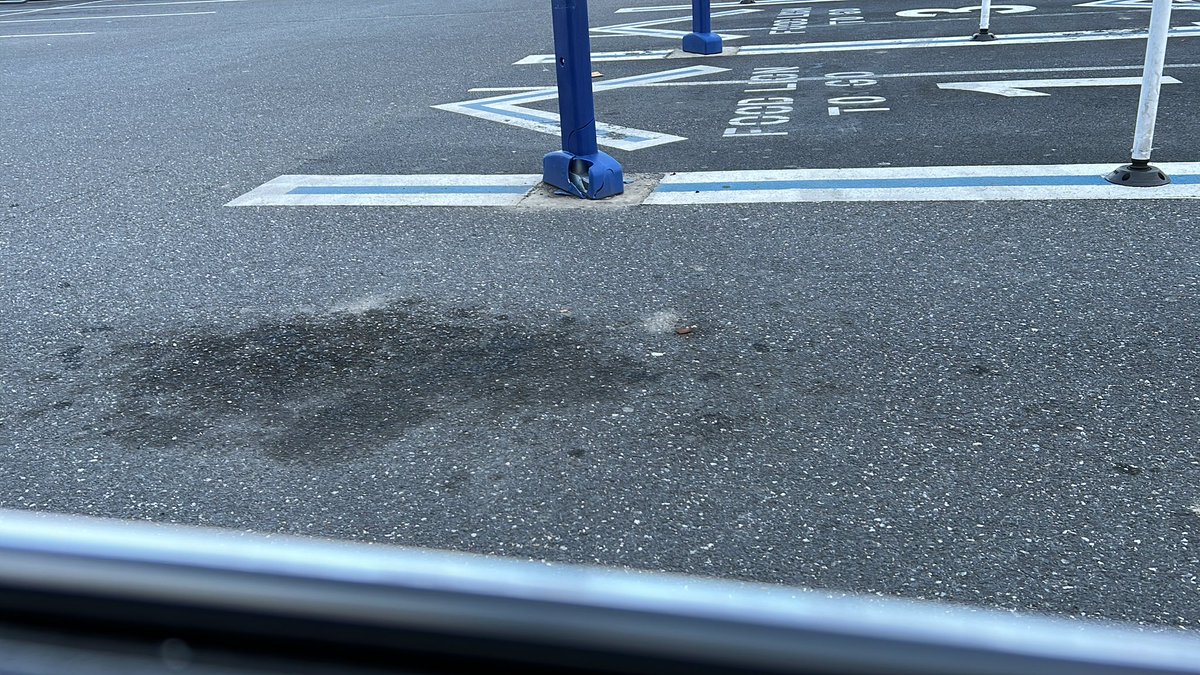 Bob_A_Rea's tweet photo. This Food Lion parking lot reeks of cigars and exhaust. #notblessed https://t.co/aTp64Awub5