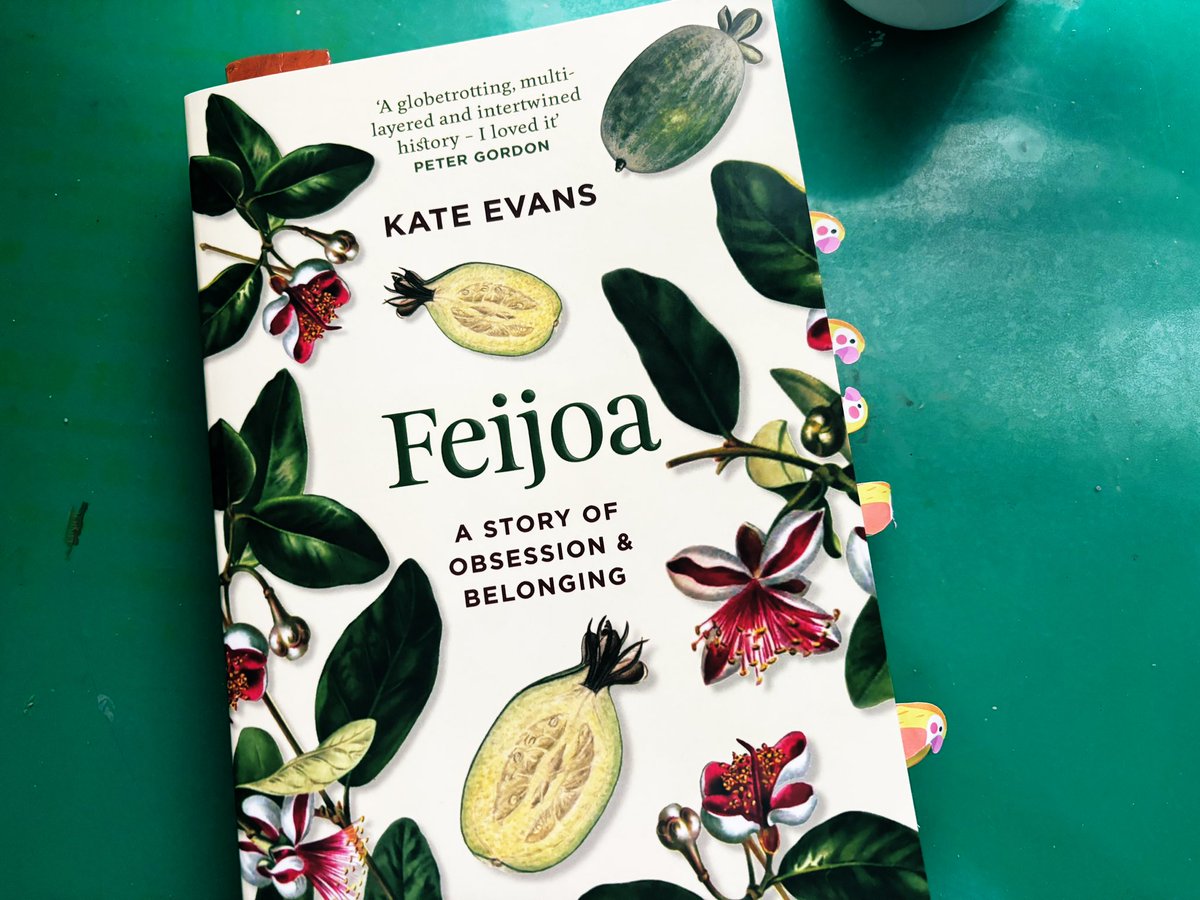 Ivy Shih (@ivyhish) on Twitter photo Thoroughly enjoying ‘Feijoa’ by <a href="/kate_g_evans/">Kate Evans</a> - each page filled with tasty and wonderfully written details. ✨
I’ve never had feijoas before and now on a mini quest to find some in Aus! Thoroughly enjoying ‘Feijoa’ by <a href="/kate_g_evans/">Kate Evans</a> - each page filled with tasty and wonderfully written details. ✨
I’ve never had feijoas before and now on a mini quest to find some in Aus!