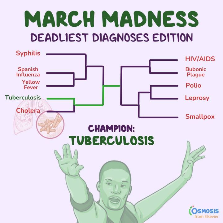 OsmosisMed's tweet photo. The results are in... the 2024 March Madness Deadliest Diagnosis, according to you learners who voted in our brackets, is tuberculosis! ☠️ Dive into our special #PathologyReview to find out how tuberculosis won its terrible title.
Learn more: https://t.co/Fcmw9e4xsX https://t.co/zO1iL2Ot55