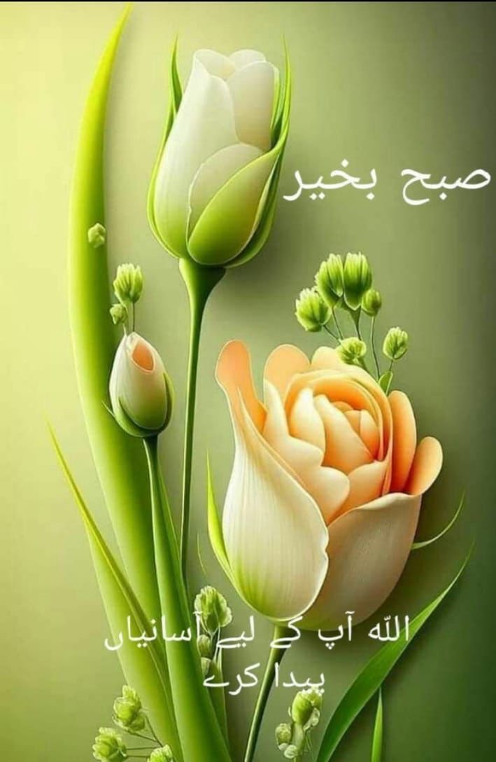 Good Morning
Have a nice day