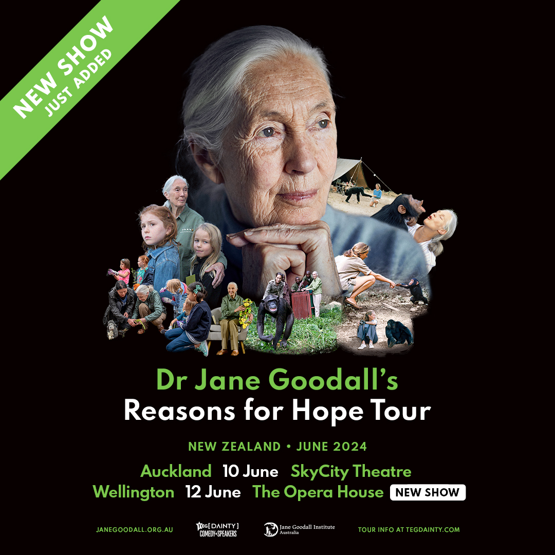 Dr. Jane Goodall is coming to Wellington Opera House with her 'Reasons for Hope' tour this June 12th! 🌿 Join her for a journey through 60 years of groundbreaking chimpanzee research and her vision for a sustainable future. Includes a presentation, audience Q&A, and fireside