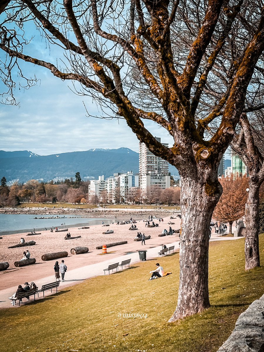Today in Vancouver
Bike lanes, blossoms, and beach