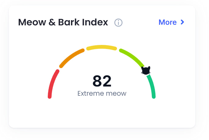 CoinMarketCat (Memecoin) tweet media