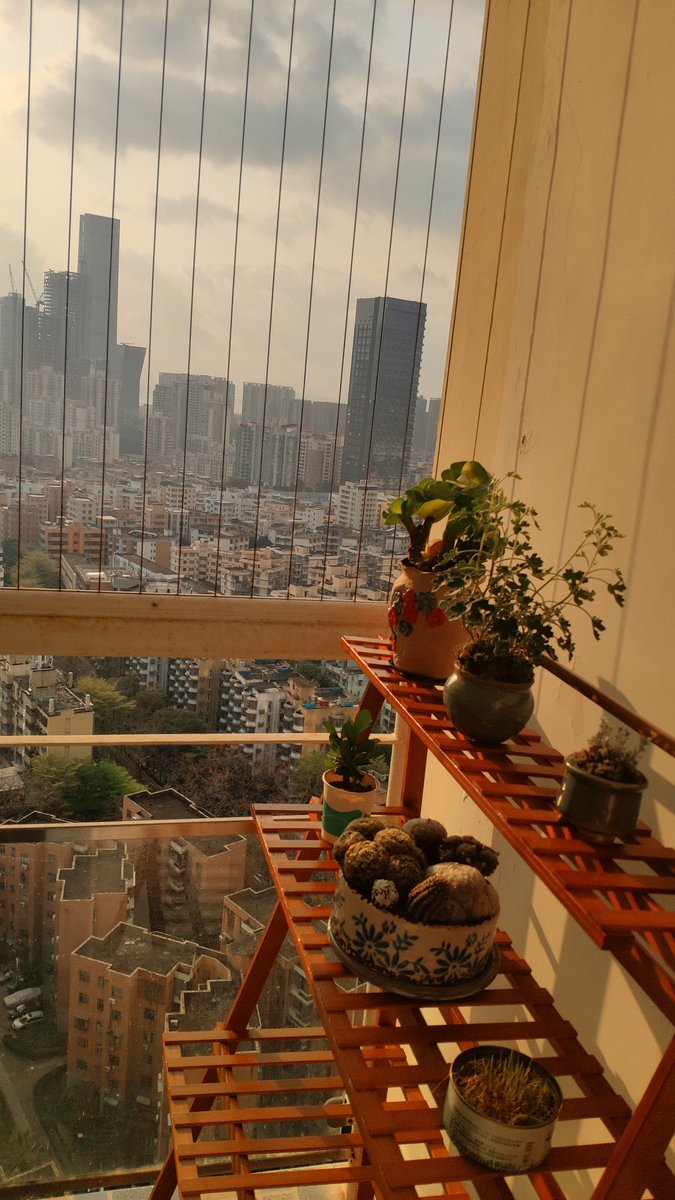 Daniel Camilo tweet media