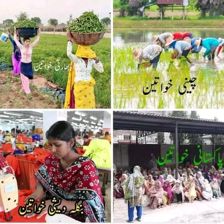 دنیا چاند پہ پہنچ گٸ ہے اور ہماری آٹے کی لاٸن ختم نہیں ہو رہی