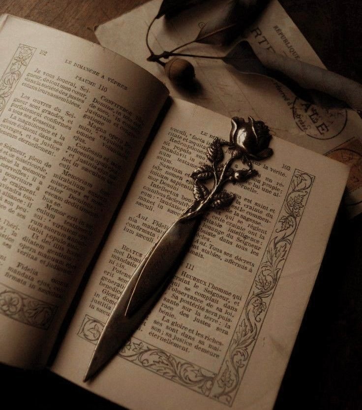 rhysndcas's tweet photo. ༻~ livros lidos ~༺ https://t.co/BPvfcb6V6H