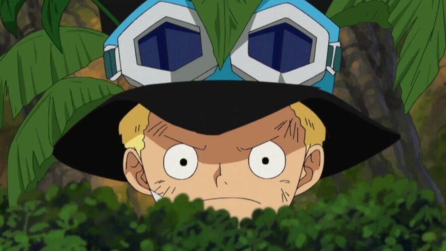 One Piece Daily tweet media