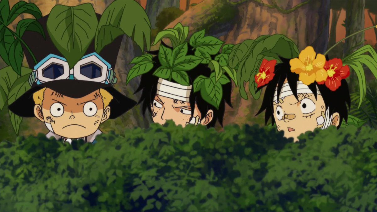 One Piece Daily tweet media