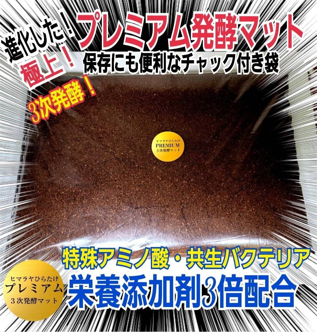 最強のカブトムシ☆クワガタマット作ってます 最強のカブトムシ☆クワガタマット作ってます