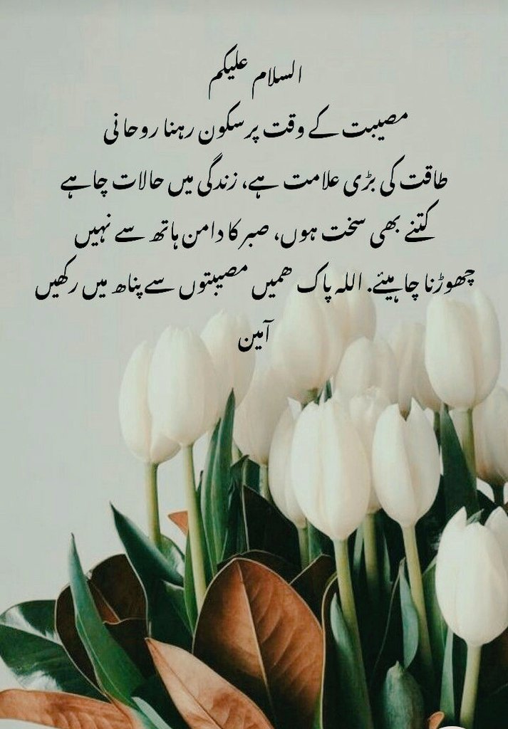 Amna Bajwa (@amnabajwa1124) on Twitter photo 